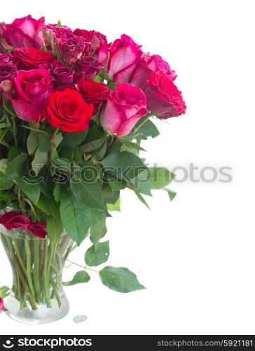 Border of red and pink roses . Bunch of red and pink roses in vase close up isolated on white background