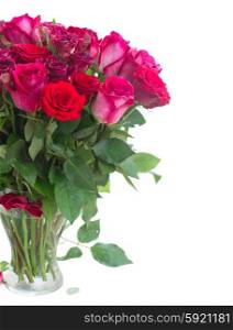 Border of red and pink roses . Bunch of red and pink roses in vase close up isolated on white background