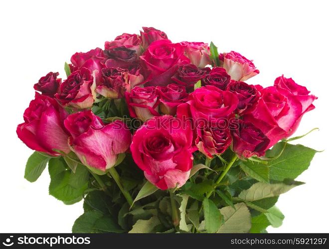 Border of red and pink roses . Bunch of red and pink roses isolated on white background