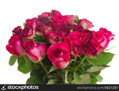 Border of red and pink roses . Bunch of red and pink roses isolated on white background
