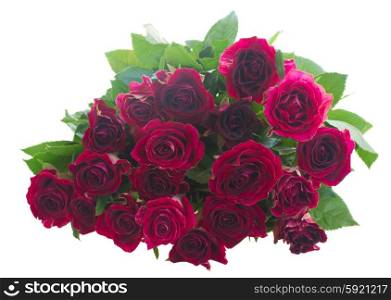 Border of red and pink roses . Pile of red and pink roses isolated on white background