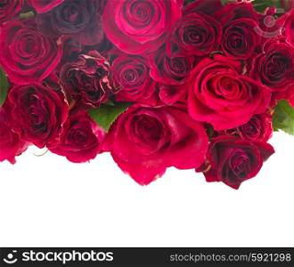 Border of red roses . Border of red and pink roses isolated on white background