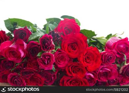 Border of red roses . red and pink roses on wooden tborder isolated on white background