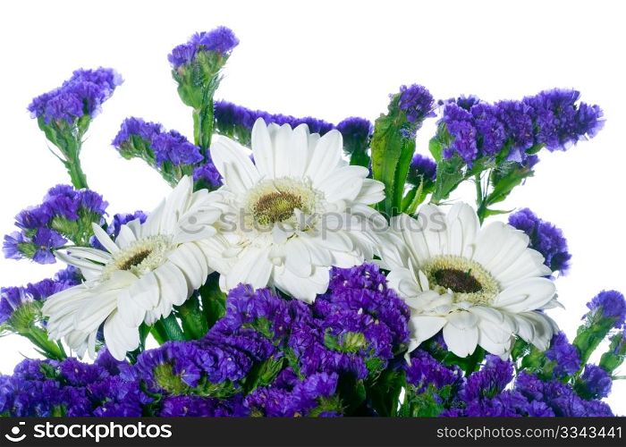 border of spring flowers on a white background