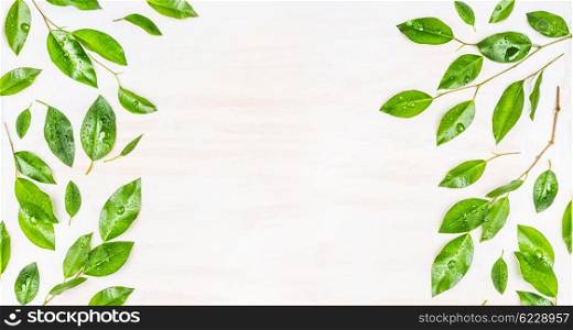 Border or banner of Green leaves with dew drops on white wooden background, top view. Ecology, organic or nature background. Green leaves pattern.