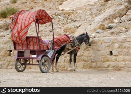 Bored donkey and cart in the Siq canyon at Petra, Jordan