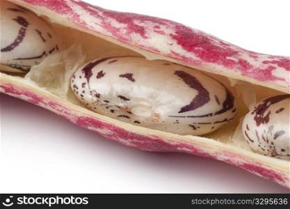 Borlotti beans in the shell on white background