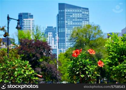 Boston Common park gardens and skyline in Massachusetts USA
