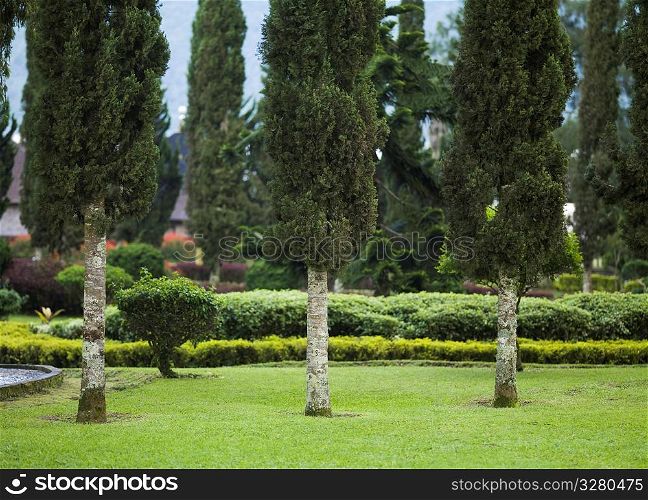 Botanic garden in Bali