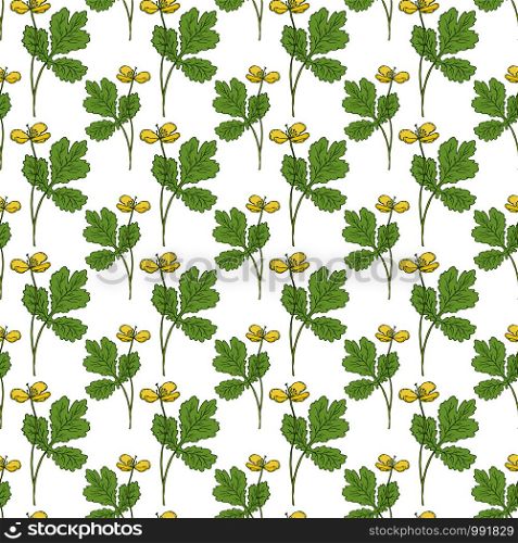 Botanical herbs seamless pattern. Nature print for textile design. Nature pattern with celandine yellow flowers. Botanical herbs seamless pattern. Nature print for textile design. Nature pattern with celandine yellow flowers.