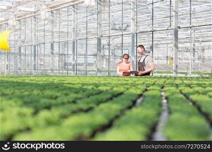 Botanists discussing while standing by herb seedlings in greenhouse