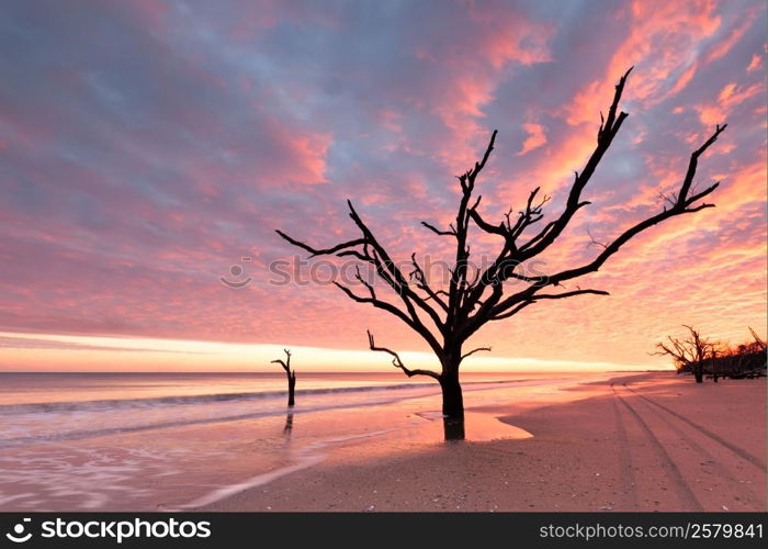 Botany Bay beach at cloudy sunset, Edisto Island, South Carolina, USA