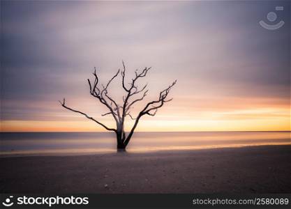 Botany Bay beach at cloudy sunset, Edisto Island, South Carolina, USA