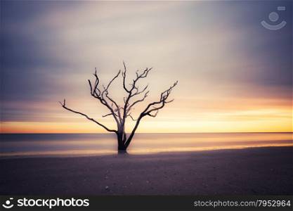 Botany Bay beach at cloudy sunset, Edisto Island, South Carolina, USA