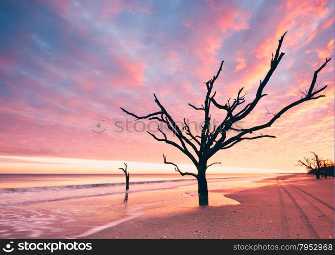 Botany Bay beach at cloudy sunset, Edisto Island, South Carolina, USA