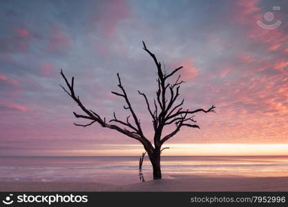 Botany Bay beach at cloudy sunset, Edisto Island, South Carolina, USA