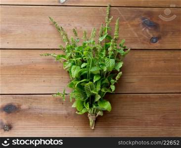 botany, gardening and herbs concept - close up of fresh melissa bunch on wooden table