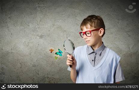 Botany lesson. School boy examining butterfly with magnifying glass