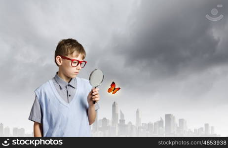 Botany lesson. School boy examining butterfly with magnifying glass