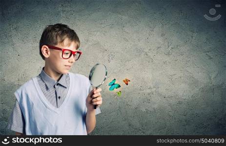 Botany lesson. School boy examining butterfly with magnifying glass