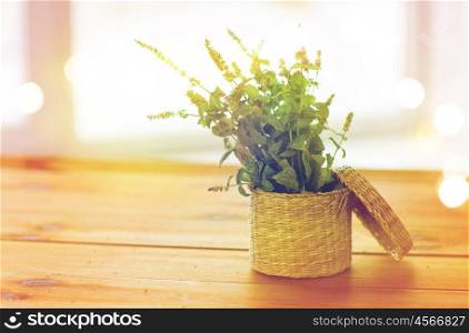 botany, summer, gardening and herbs concept - close up of fresh melissa in wicker basket on wooden table