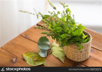 botany, summer, gardening and herbs concept - close up of fresh melissa in wicker basket and leaves on wooden table