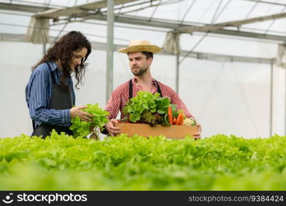 Both small business owners have organic vegetable gardens, They picking fresh veggies to deliver to consumers.