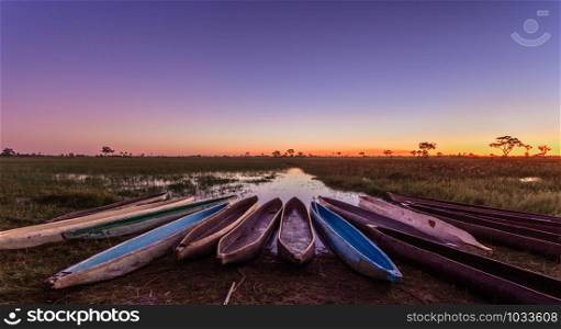 Botswanian local mokoro boats in the sunset time, on the shore of delta Okavango river, Botswana