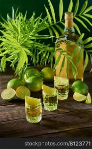 Bott≤and glasses of tequila with lime on a wooden tab≤. Traditional Mexican alcoholic bevera≥. Alcoholic cocktail with lime. The gin drink is served in glasses and limes 