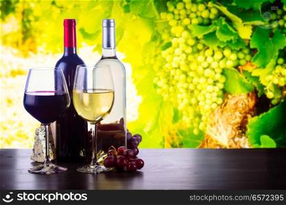 Bottle and glass with white and red wine, vineyard in background toned image. Glass of red wine