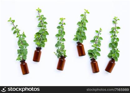 Bottle of essential oil with fresh oregano leaves on white background.