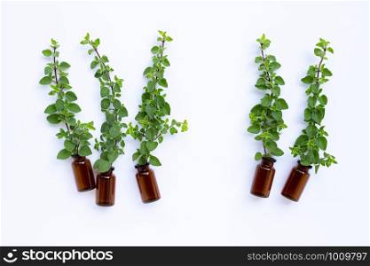 Bottle of essential oil with fresh oregano leaves on white background. Copy space