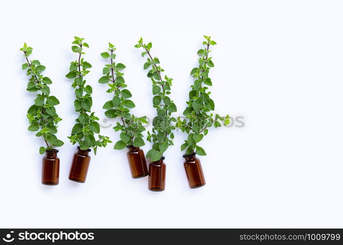 Bottle of essential oil with fresh oregano leaves on white background. Copy space