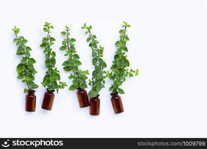 Bottle of essential oil with fresh oregano leaves on white background. Copy space