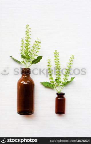Bottle of essential oil with holy basil flower. . Bottle of essential oil with holy basil flower on white background.