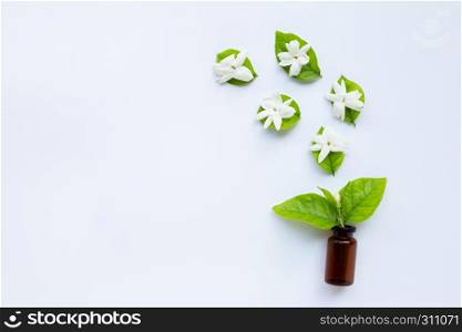 Bottle of essential oil with jasmine flower and leaves on white background.
