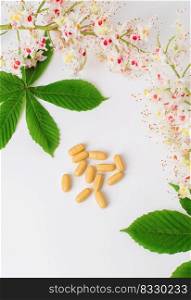 Bottle of horse chestnut extract, essence of chestnut flowers. Flowering branches and leaves of horse chestnut. Production of medicines, tablets, tinctures.. Bottle of horse chestnut extract, essence of chestnut flowers. Flowering branches and leaves of horse chestnut.