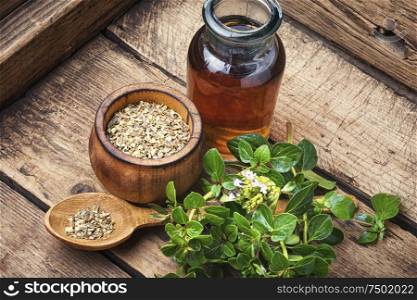 Bottle of oregano essential oil with fresh and dry oregano leaves. Fresh and dried oregano herb
