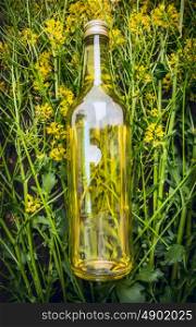 Bottle of Rape oil on Rape blossoms plant, top view