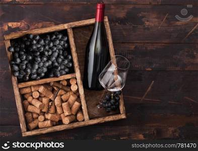 Bottle of red wine and empty glasses with dark grapes with corks and corkscrew inside vintage wooden box on dark wooden background.