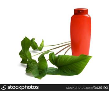 bottle of shampoo and green leaves isolated