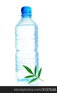 Bottle of still water with green leaf