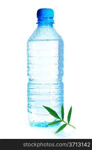 Bottle of still water with green leaf