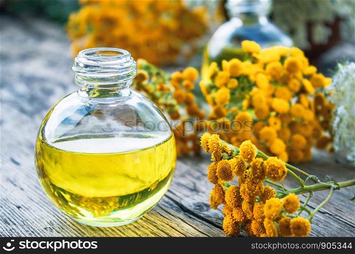 Bottle of tansy essential oil or tincture extract on wooden background with yellow tansy flowers. Herbal medicine concept. spa. Bottle of tansy essential oil or tincture extract on wooden background with yellow tansy flowers. Herbal medicine concept.