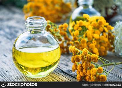 Bottle of tansy essential oil or tincture extract on wooden background with yellow tansy flowers. Herbal medicine concept. spa. Bottle of tansy essential oil or tincture extract on wooden background with yellow tansy flowers. Herbal medicine concept.
