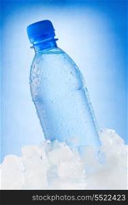 bottle of water in ice