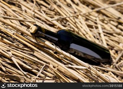 Bottle of wine with a cork lying in a stack of straw. Bottle of wine with a cork