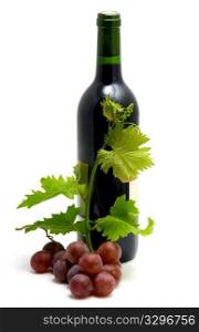 bottle of wine with grape wine leafs and vine