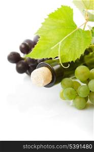 bottle of wine with leaves and grapes isolated