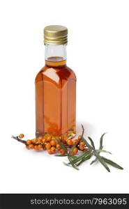 Bottle Sea buckthorn oil with a twig of common sea-buckthorn on white background